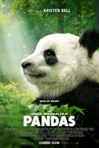 Pandas in IMAX at Bullock Museum @ Bullock Museum IMAX Theater | Austin | Texas | United States